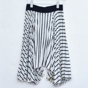 Zara Asymmetrical Pleated Stripe Skirt